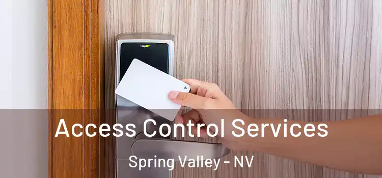  Access Control Services Spring Valley - NV