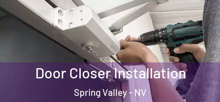  Door Closer Installation Spring Valley - NV