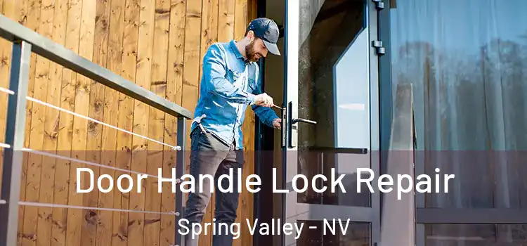  Door Handle Lock Repair Spring Valley - NV