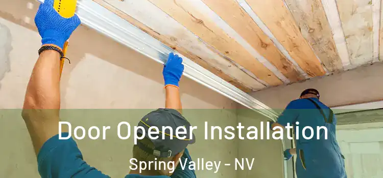  Door Opener Installation Spring Valley - NV