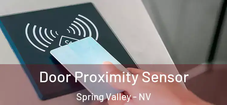  Door Proximity Sensor Spring Valley - NV