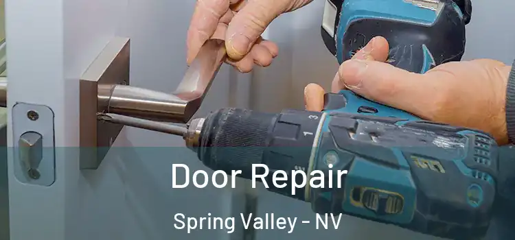  Door Repair Spring Valley - NV