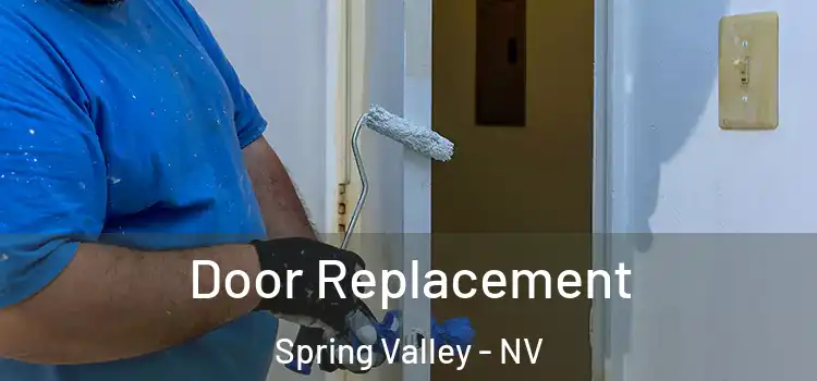  Door Replacement Spring Valley - NV
