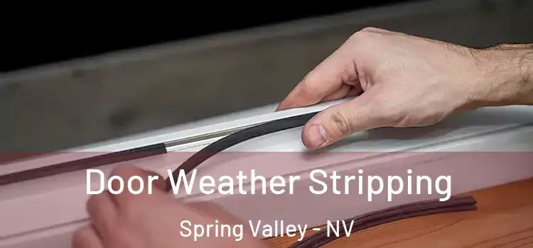  Door Weather Stripping Spring Valley - NV