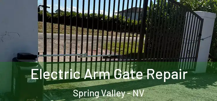  Electric Arm Gate Repair Spring Valley - NV