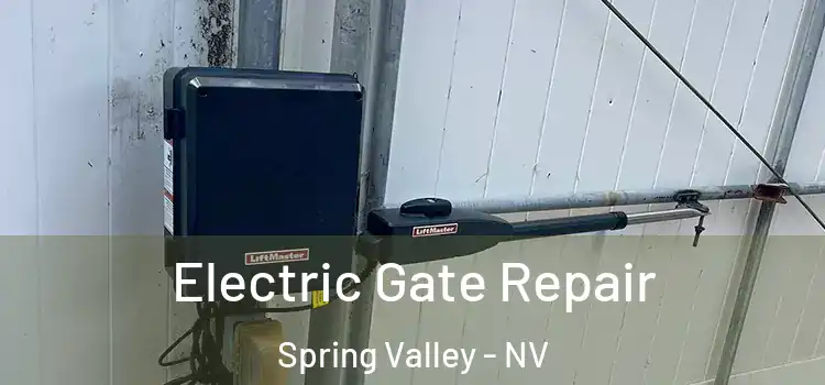  Electric Gate Repair Spring Valley - NV