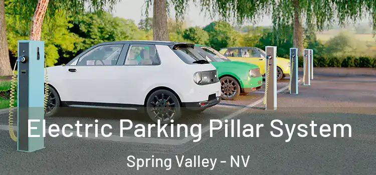  Electric Parking Pillar System Spring Valley - NV
