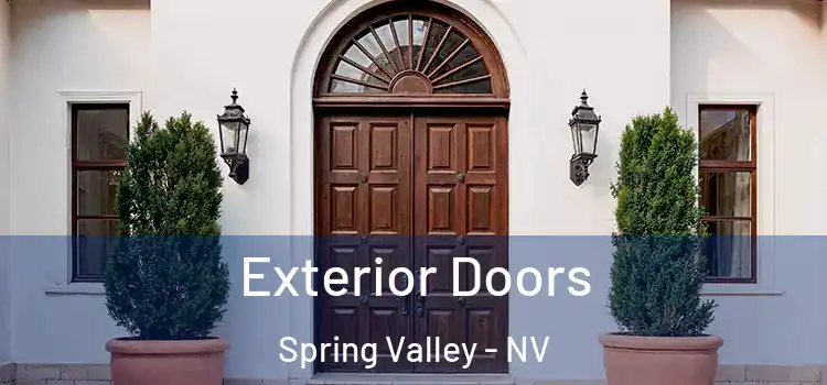  Exterior Doors Spring Valley - NV