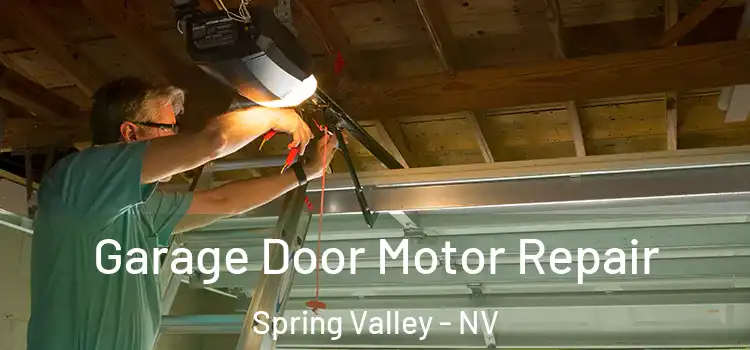  Garage Door Motor Repair Spring Valley - NV