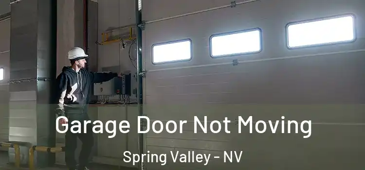  Garage Door Not Moving Spring Valley - NV