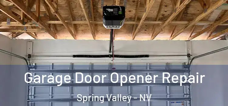  Garage Door Opener Repair Spring Valley - NV
