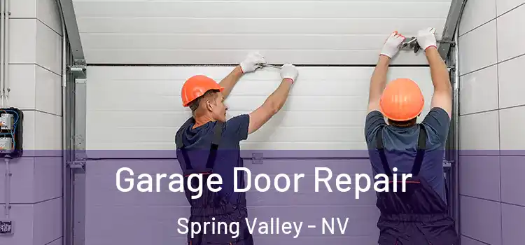  Garage Door Repair Spring Valley - NV