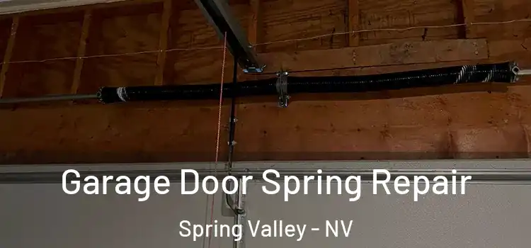  Garage Door Spring Repair Spring Valley - NV