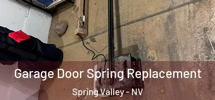 Garage Door Spring Replacement Spring Valley - NV