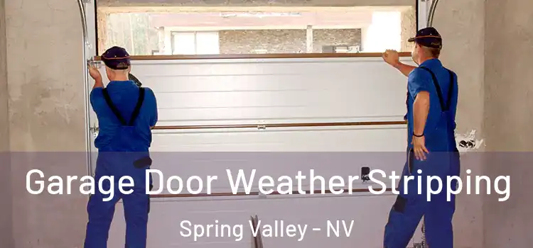  Garage Door Weather Stripping Spring Valley - NV