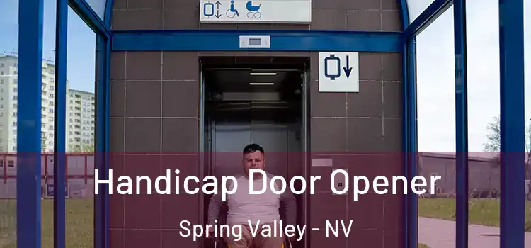  Handicap Door Opener Spring Valley - NV