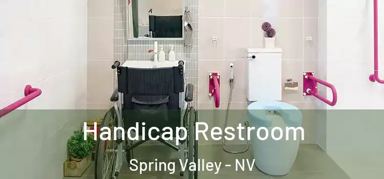  Handicap Restroom Spring Valley - NV