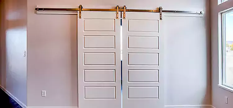 Glass Barn Door with Installation Hardware Kit Spring Valley