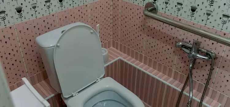 Meeting Diverse Needs With Accessible Restroom Solutions in Spring Valley, NV
