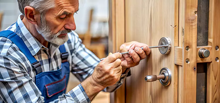 Mortise Replacement Lock Spring Valley