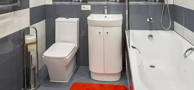 Hansgrohe Shaving Mirror Spring Valley
