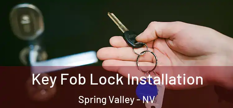  Key Fob Lock Installation Spring Valley - NV