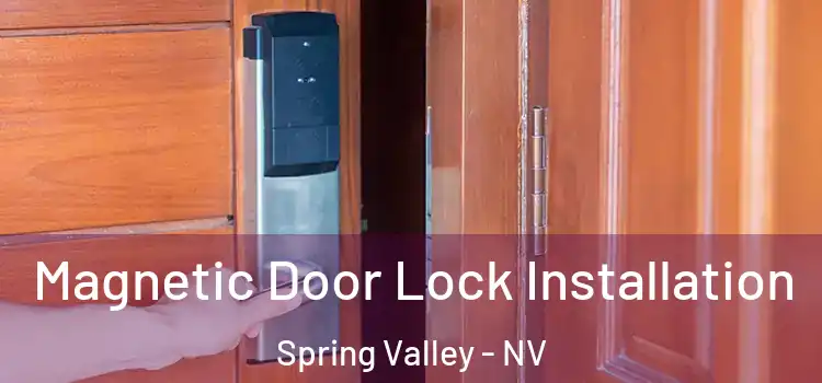  Magnetic Door Lock Installation Spring Valley - NV