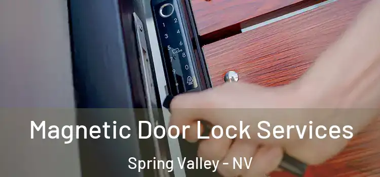  Magnetic Door Lock Services Spring Valley - NV