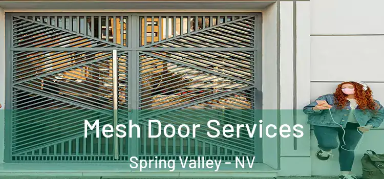  Mesh Door Services Spring Valley - NV