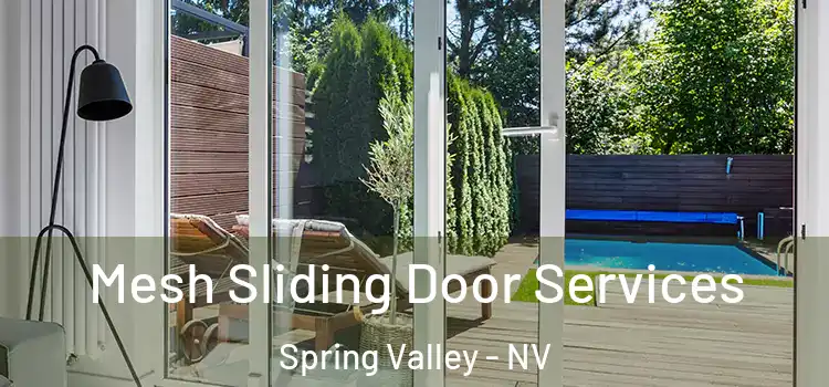  Mesh Sliding Door Services Spring Valley - NV