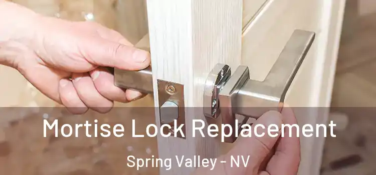  Mortise Lock Replacement Spring Valley - NV