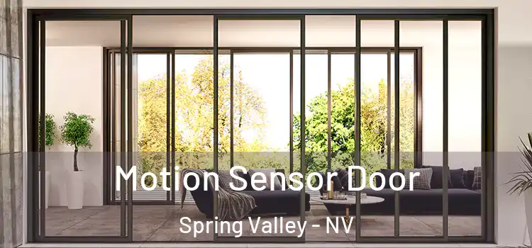  Motion Sensor Door Spring Valley - NV