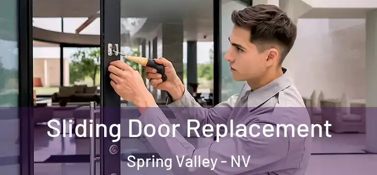  Sliding Door Replacement Spring Valley - NV