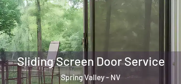  Sliding Screen Door Service Spring Valley - NV
