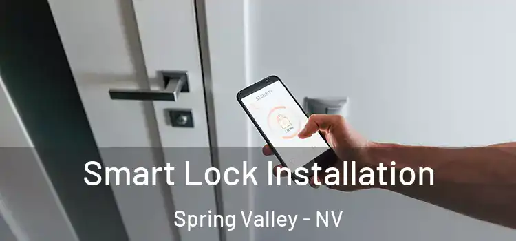  Smart Lock Installation Spring Valley - NV
