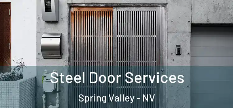  Steel Door Services Spring Valley - NV